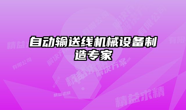 自動(dòng)輸送線(xiàn)機(jī)械設(shè)備制造專(zhuān)家
