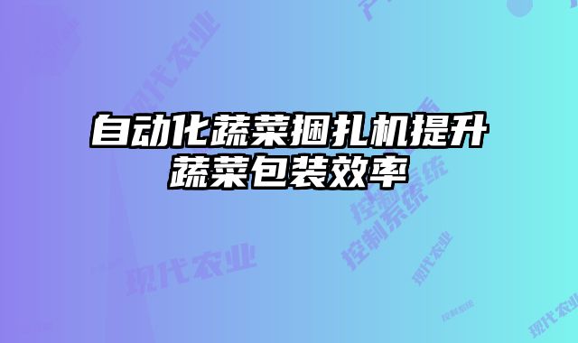 自動化蔬菜捆扎機提升蔬菜包裝效率